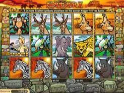 Safari